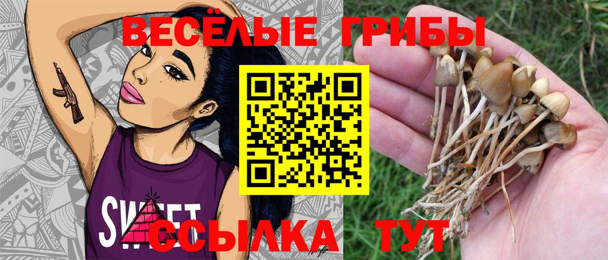 Галлюциногенные грибы MAGIC MUSHROOMS  где найти наркотики  Галлюциногенные грибы Psilocybe  Междуреченск  Вход с VPN 